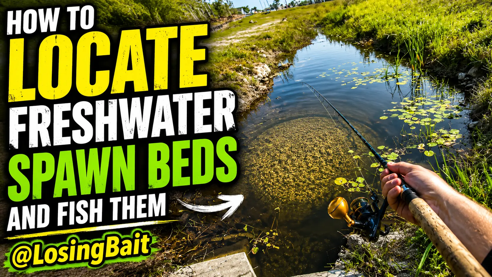 How to Locate Freshwater Spawn Beds & Fish Them