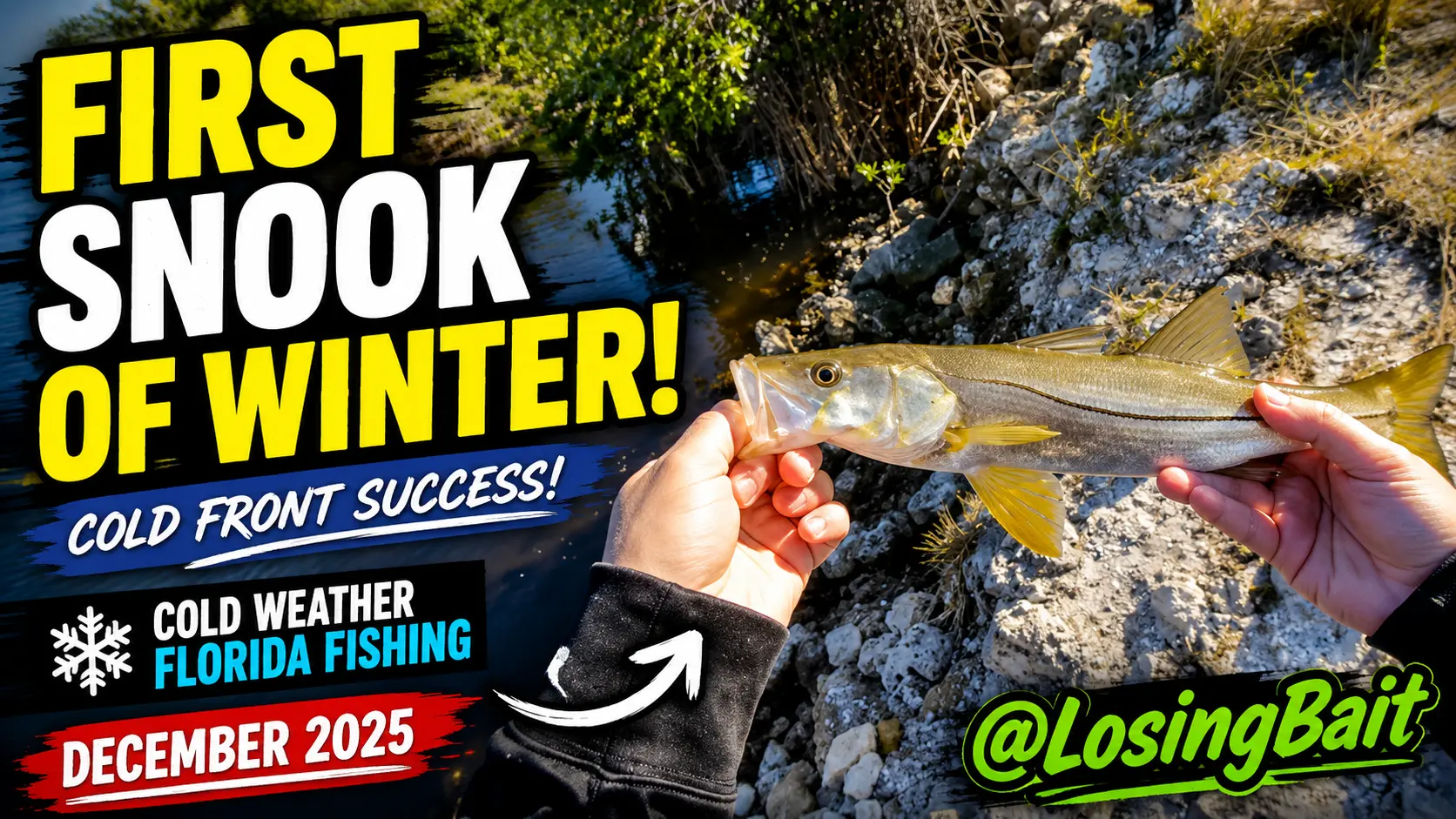 First Snook of the Winter December 2025 Catch & Release